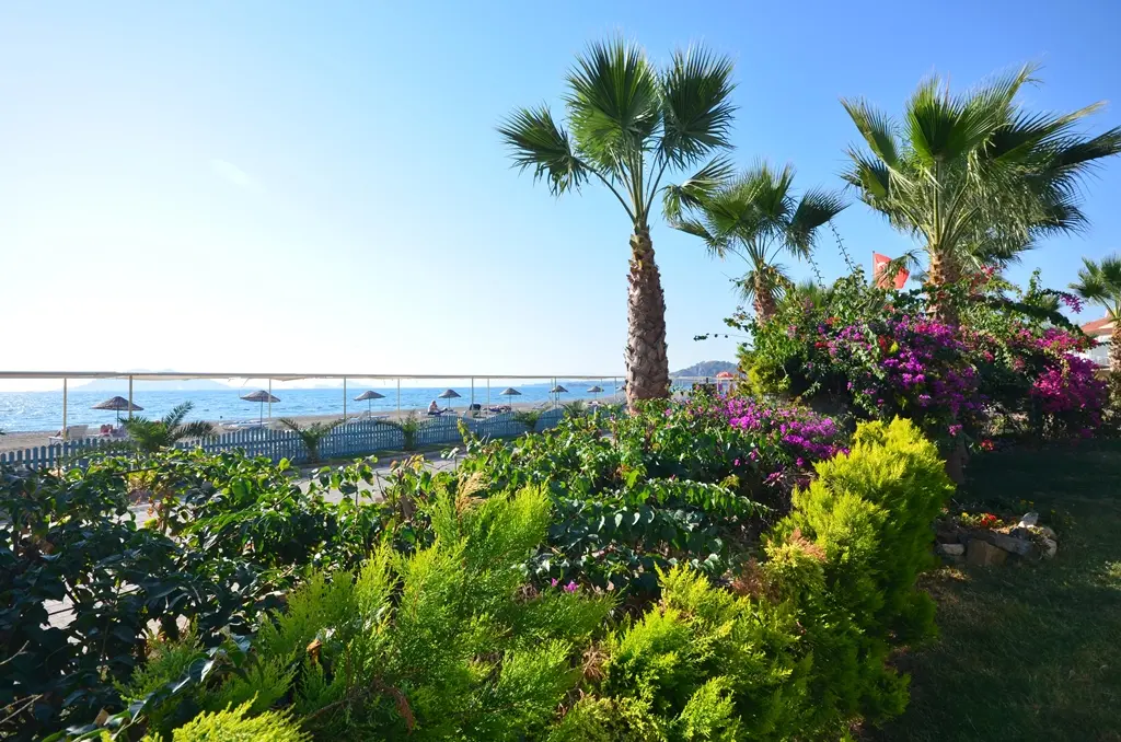 Sea view Calis